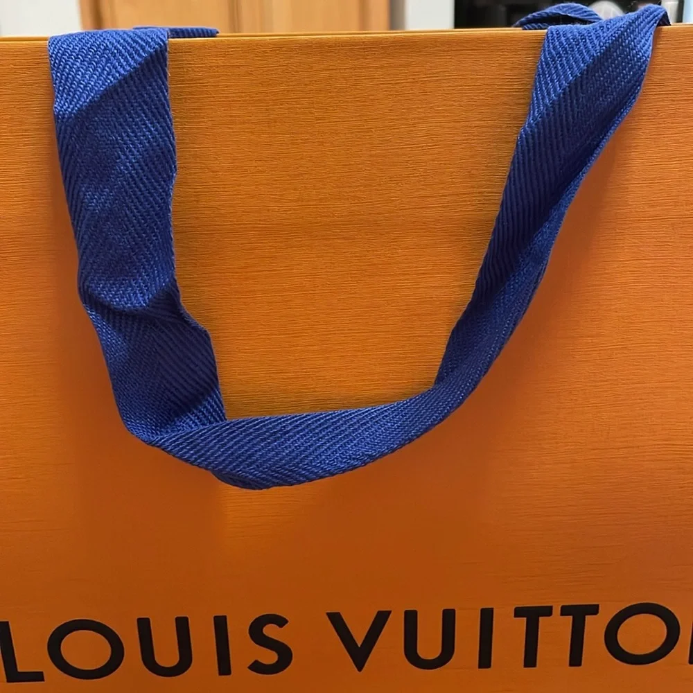 Louis Vuitton Gift Bag